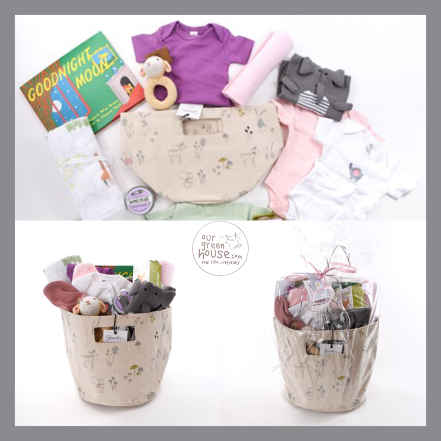 Darling Baby Girl Gift Basket - Feb 22 
