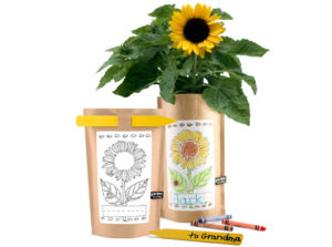 gardening kits for kids