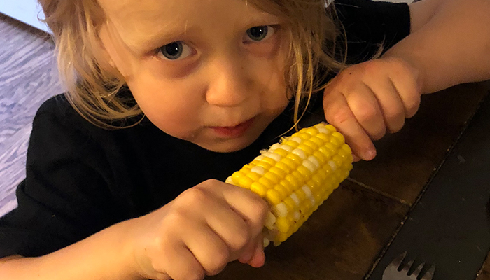 farm fresh corn on the cob