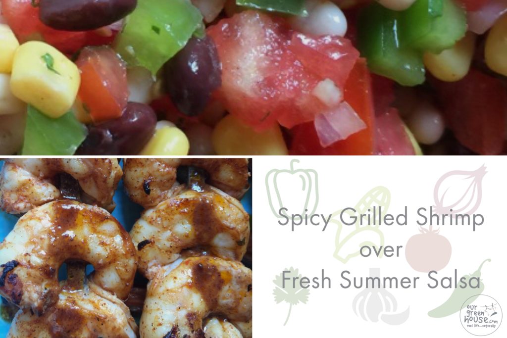 Spicy shrimp & harvest fresh salsa