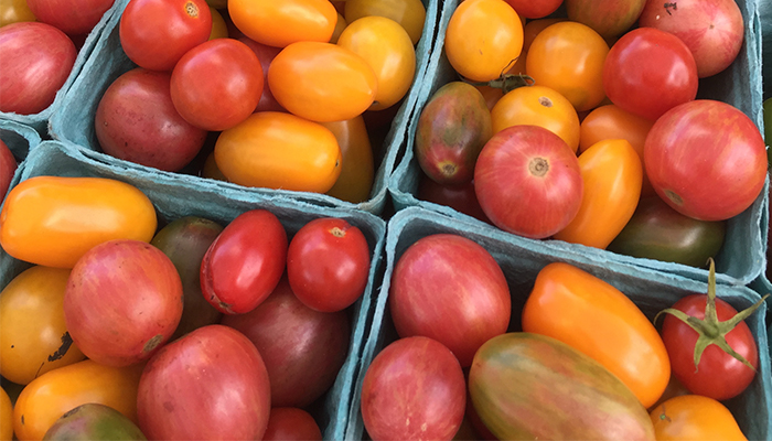 fresh Tomatoes from my favorite farmer