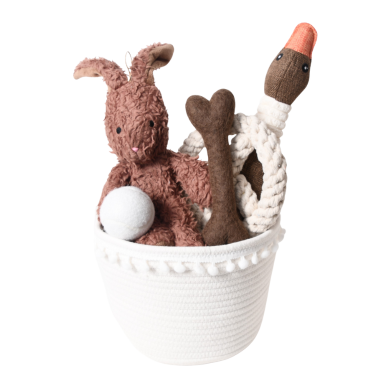 Dog fetch toy gift basket from Our Green House featuring chew-safe toys and natural materials.