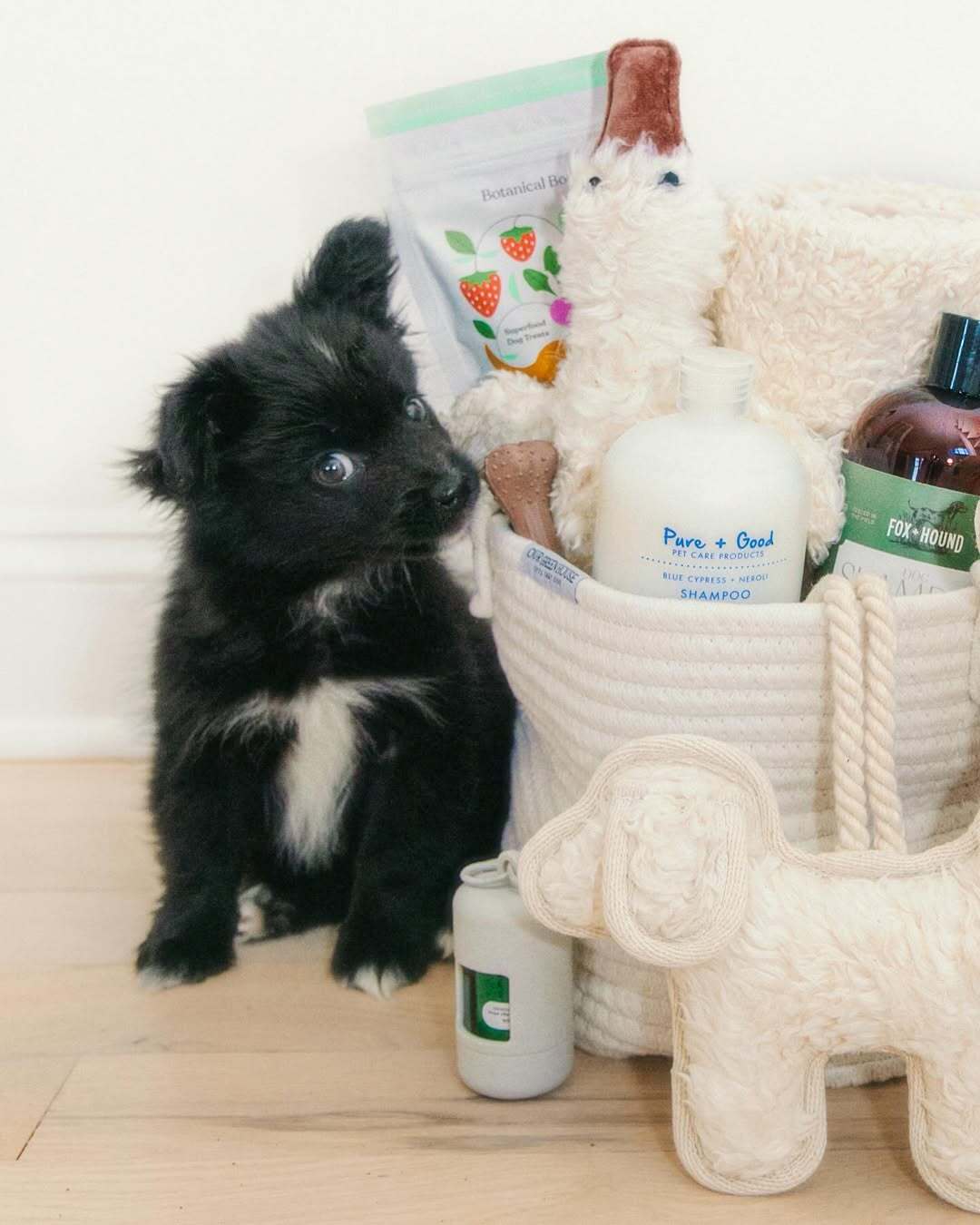 Gift basket with colorful toys, plushies, and essentials from Our Green House, placed next to a dog.