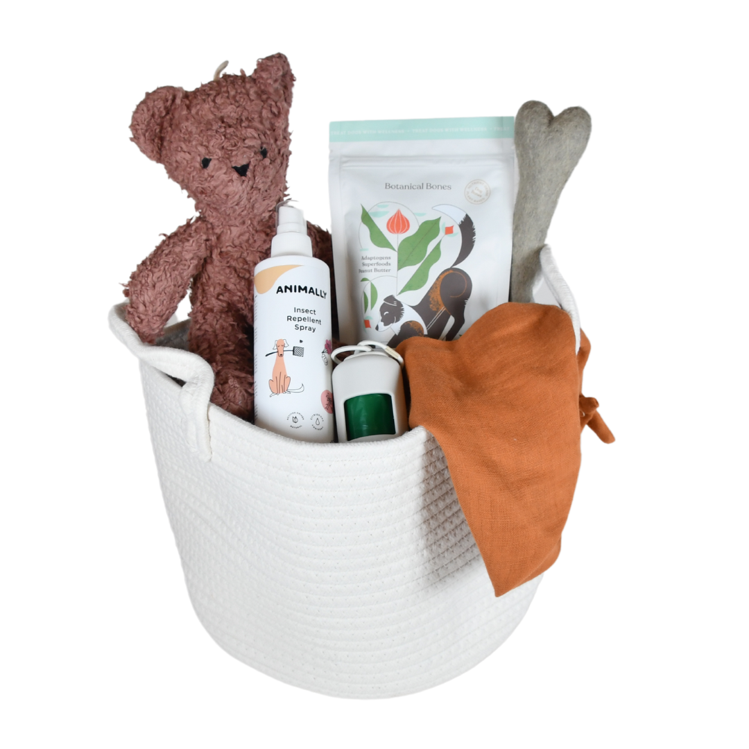 Dog essentials gift basket filled with toys, blankets, and pet care items in a reusable container.